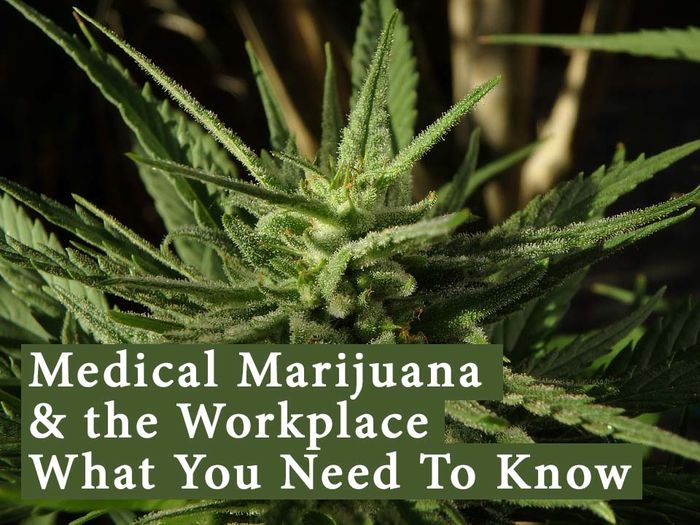 Medical Marijuana and the workplace