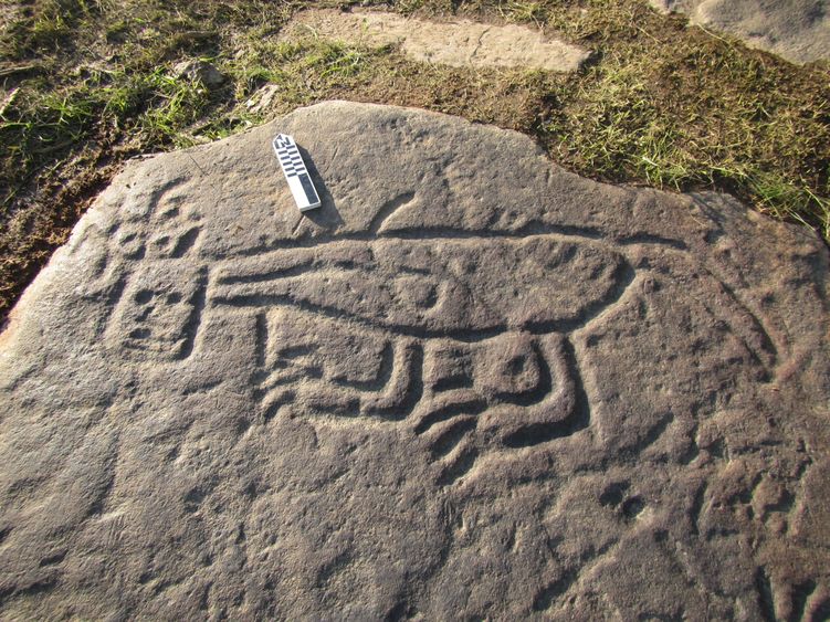 An example of petroglyphs. 