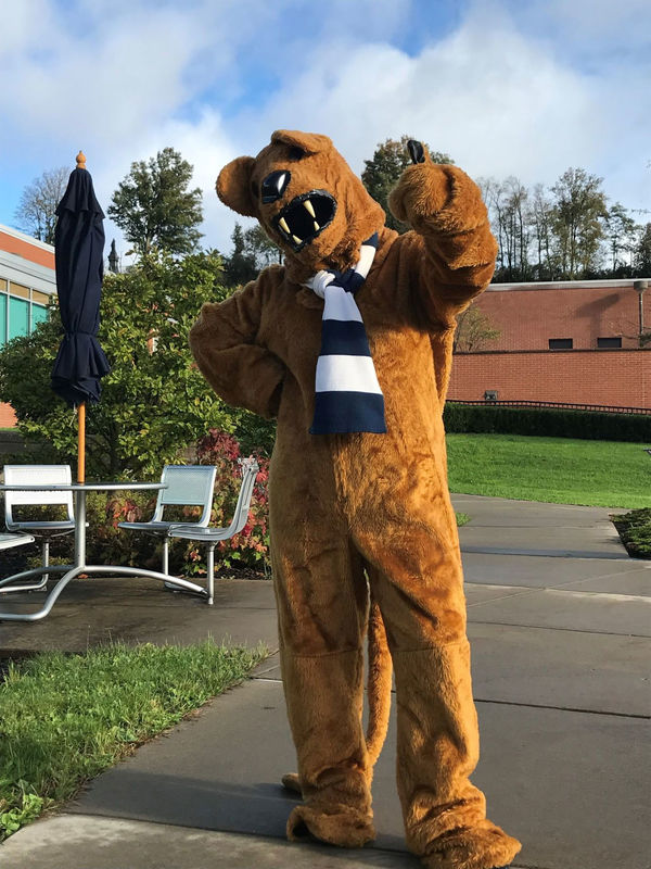 Lion on campus
