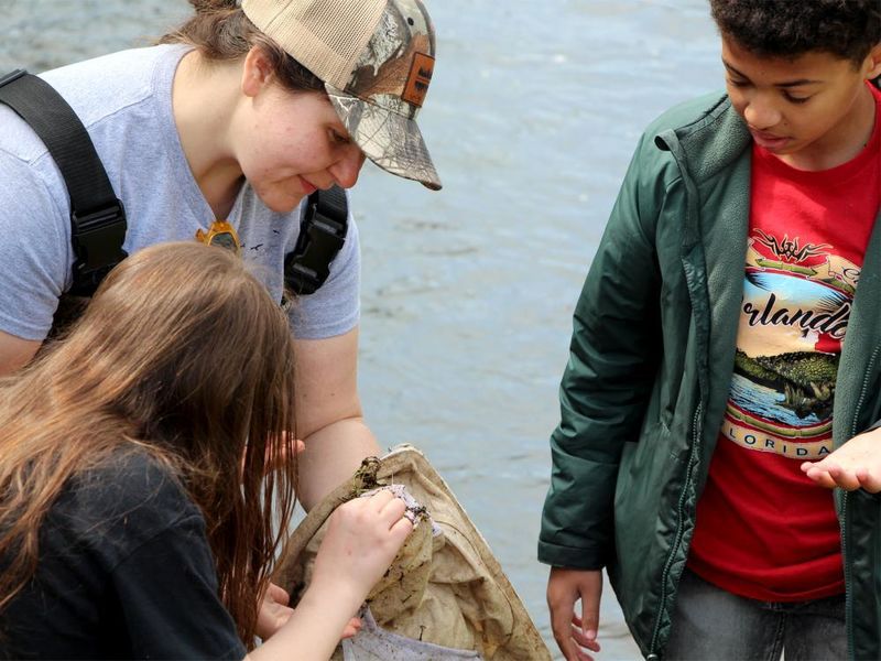 Penn State DuBois Wildlife Technology graduate Andrea Lecuyer, top left, who graduated from the program in spring 2025, works with students at Juniata Elementary in DuBois to view and study organisms found during the wetlands education program held at the school in May.