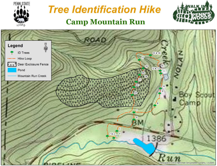 Tree identification map at Camp Mountain Run