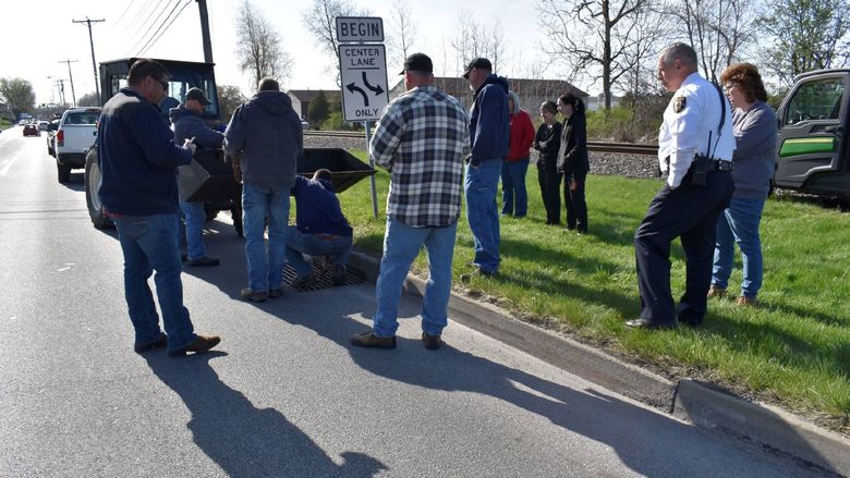 Members of the DuBois community working together to safely rescue ducklings from a storm drain.