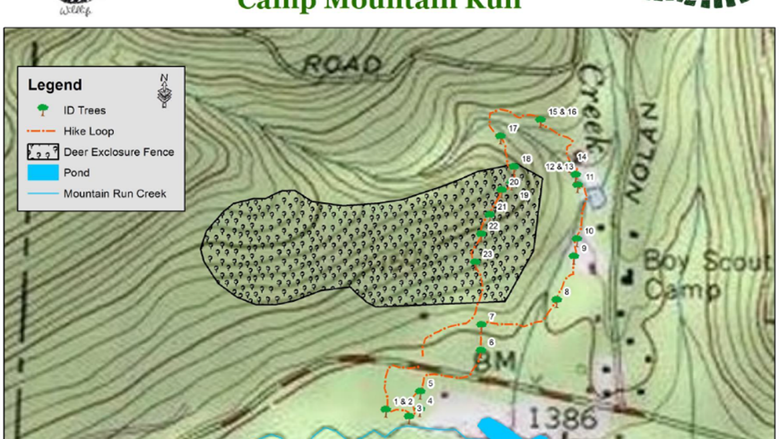 Tree identification map at Camp Mountain Run