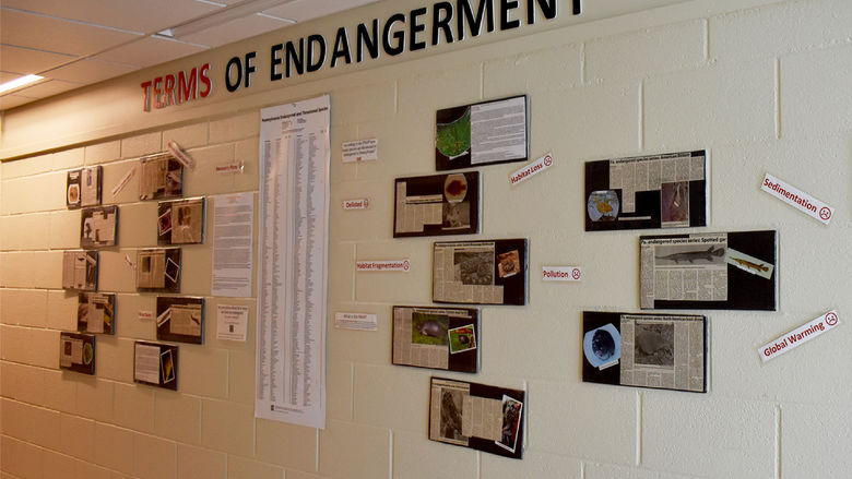 Terms of endangerment wall featuring Pennsylvania’s endangered species articles written by students for community education.
