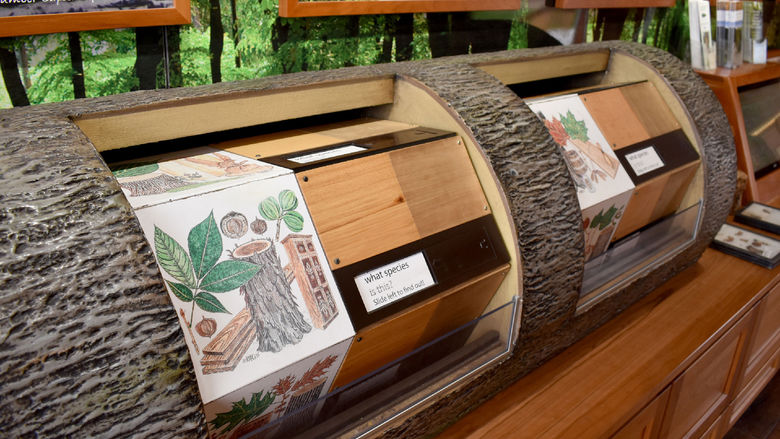 One of the interactive exhibits inside the WoodMobile, which was on campus outside the PAW Center during the Earth Day celebration at Penn State DuBois