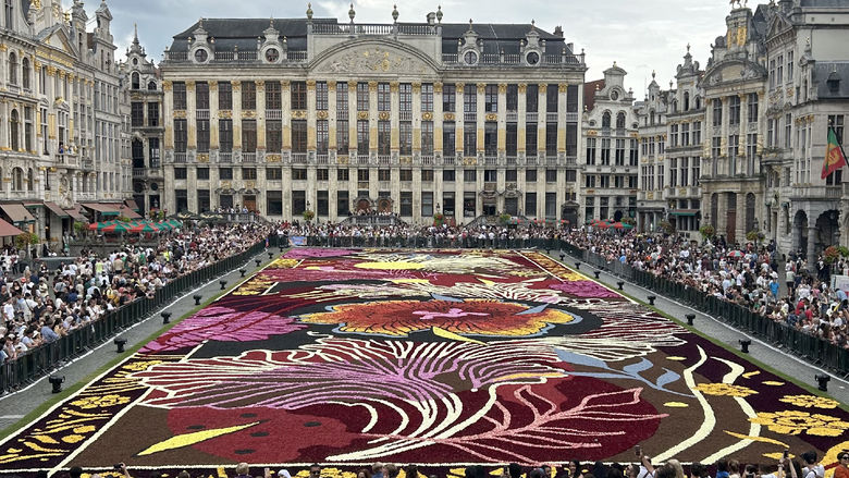 A photo of the Brussels Flower Carpet that students got to see during their honors trip in August. The Flower Carpet in Brussels only happens once every two years for four days.