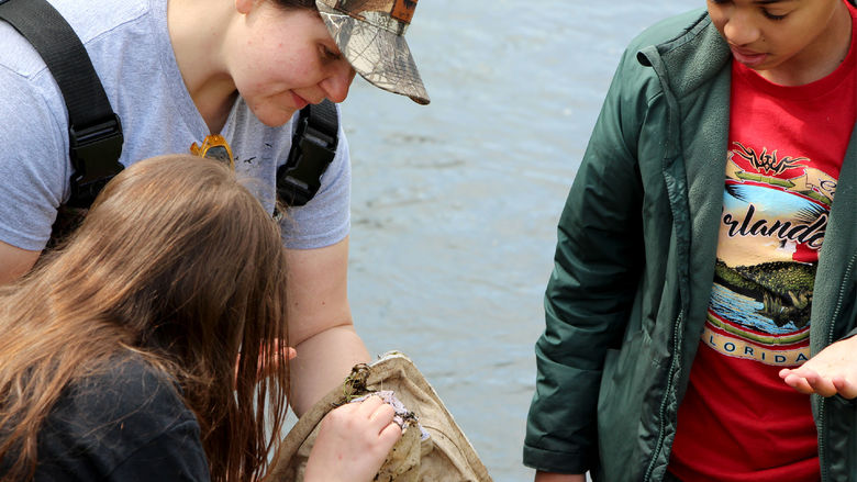 Penn State DuBois Wildlife Technology graduate Andrea Lecuyer, top left, who graduated from the program in spring 2025, works with students at Juniata Elementary in DuBois to view and study organisms found during the wetlands education program held at the school in May.