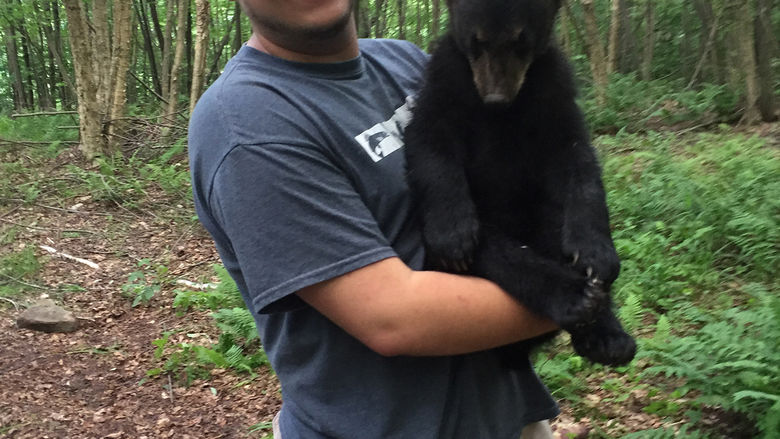 Alec Baker, DuBois bear research