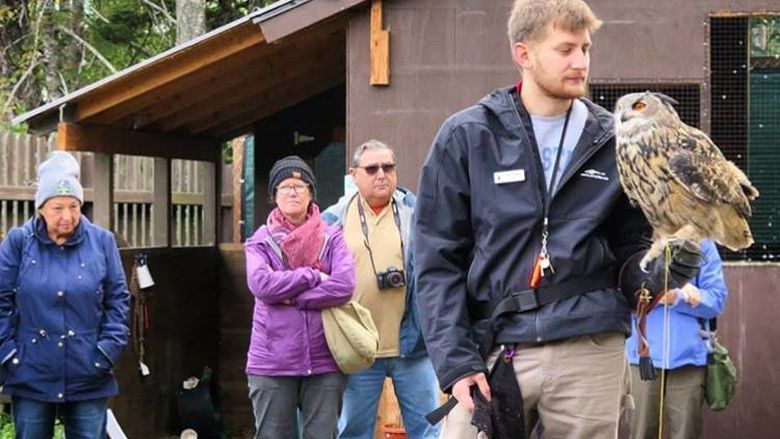 Josh Sanko runs and avian workshop in Alaska. 