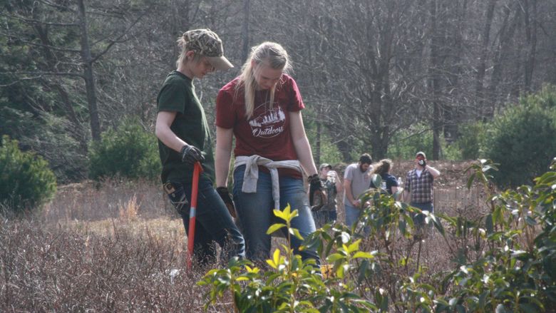 Students plant trees as part of a habitat restoration 
