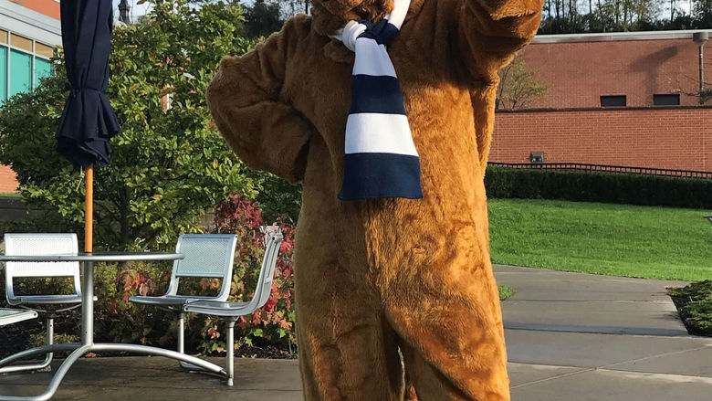 Lion on campus