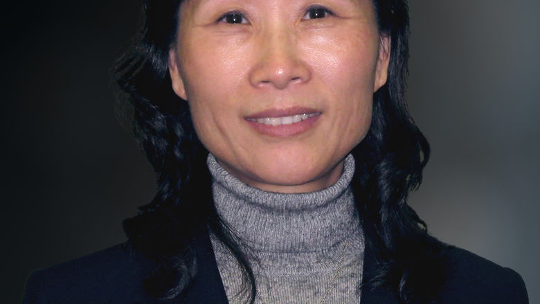 Dr. Pingjuan Werner