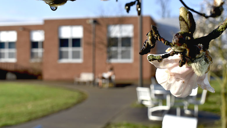 Spring on campus