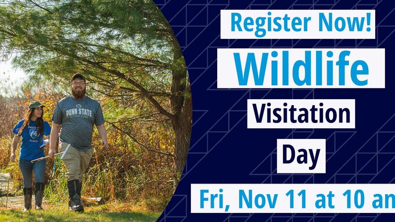 Wildlife Visitation Day Fri Nov 11 @ 10 am