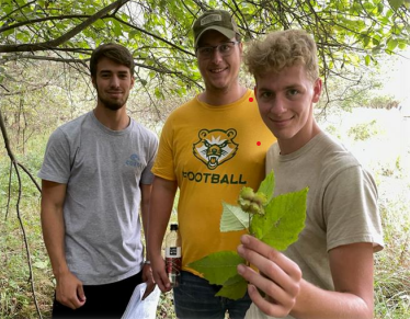 Three students showing a leaf in the woods