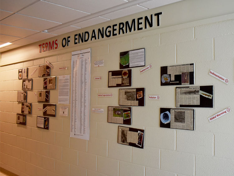 Terms of endangerment wall featuring Pennsylvania’s endangered species articles written by students for community education.