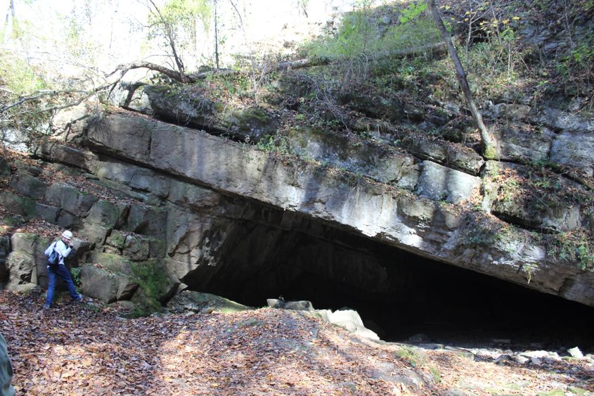 Instructor in Earth Sciences Patrick Applegate at the entrance of Tytoona Cave 