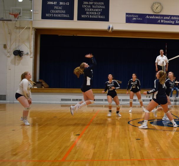 Volleyball team in action. 
