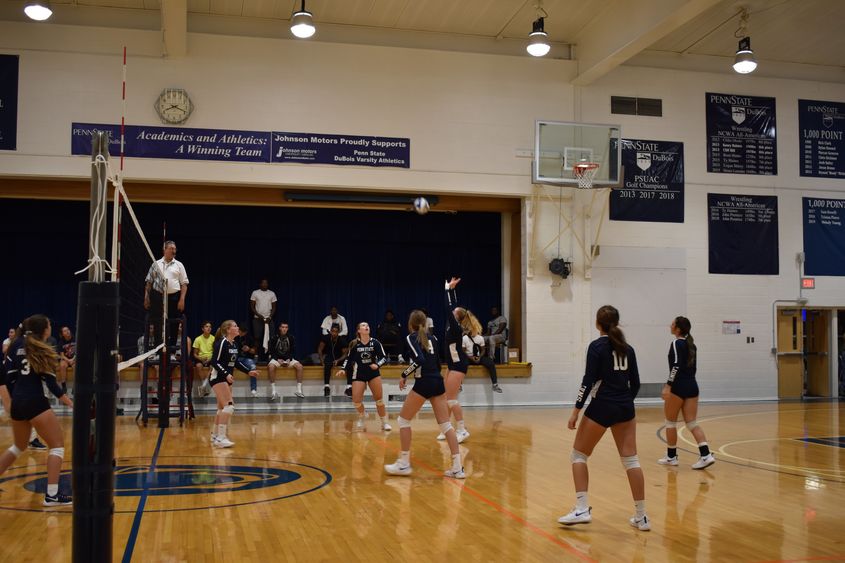 Volleyball team in action