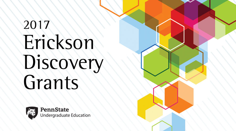 2017 Erickson Discovery Grants