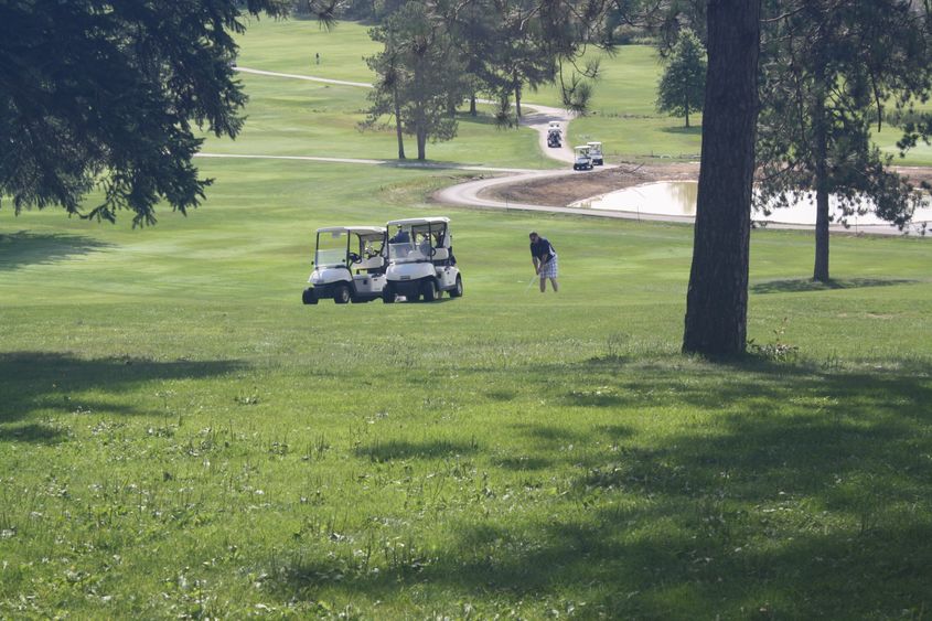 Golfers on the green. 