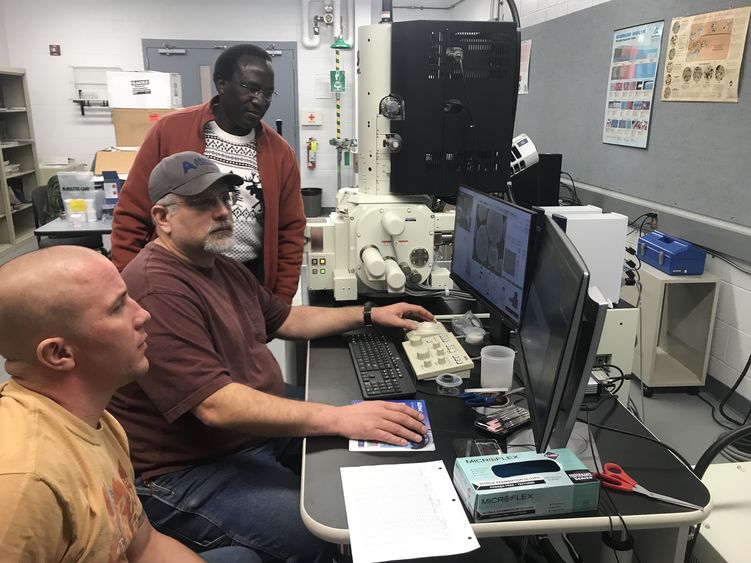 Examining the composition of powder metal samples under the new scanning electronic microscope. 