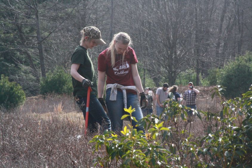 Students plant trees as part of a habitat restoration 