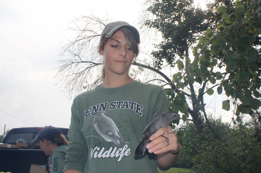 Wildlife Technology Student Chelsea Beck assisted with the bird banding study.