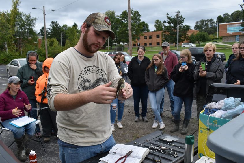 Bird banding demonstration 