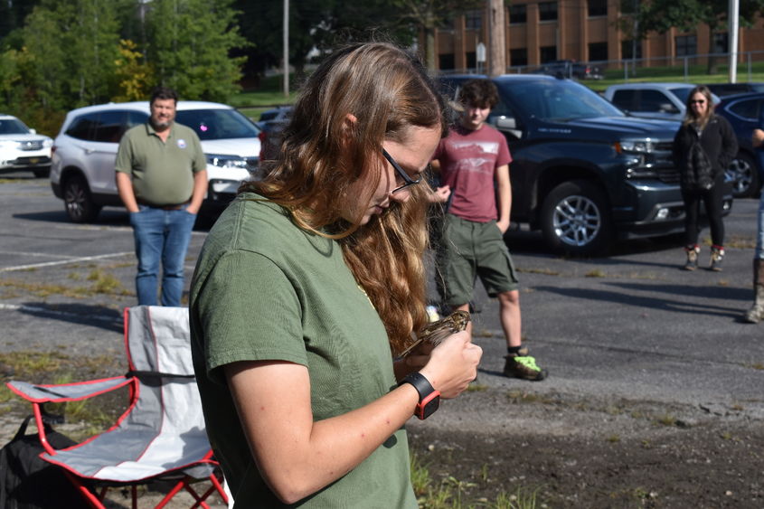 Penn State DuBois Wildlife Technology Student Piper Schwenk examines a song sparrow. 