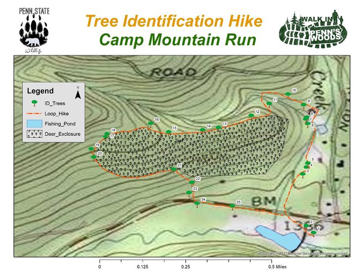 A map of the hiking trail for Walk in Penn's Woods